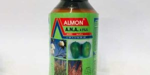 Naphthalene Acetic Acid