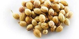 Coriander Seeds