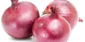 Onion