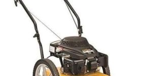 String Trimmer WST 100 Cub Cadet