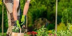 Gardening Services