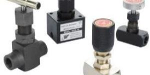 Flow Control Check Valve