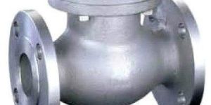 SS Non Return Valve