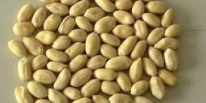 Peanut