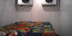 Banana Ripening Chamber