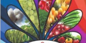 Gold Multiroot Plant Growth Promoter