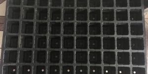 Sugarcane Seedling Tray