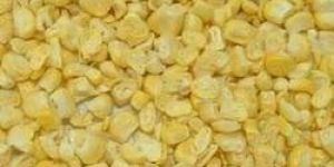 Freeze Dried Sweet Corn