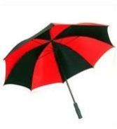 Fancy Umbrella