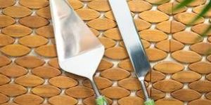 Cake Server and Bread Knife Set