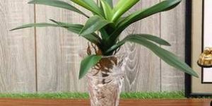 Spider Lily Artificial Plant