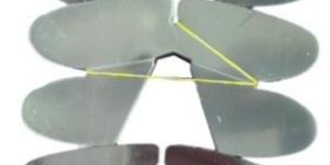 Shirt Collar Butterfly