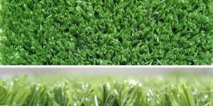Artificial Grass