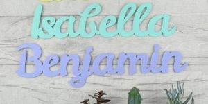 Acrylic Sign Letter