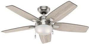 Hunter Ceiling Fan