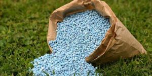 Finished Mycorrhizal Fertilizer