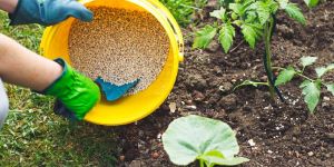 Vegetable Special Bio Fertilizer