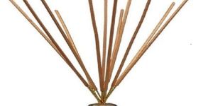 Brown Incense Sticks
