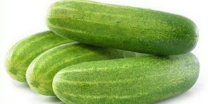Hybrid Cucumber Seeds