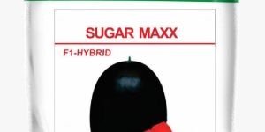 Hybrid Watermelon Seeds