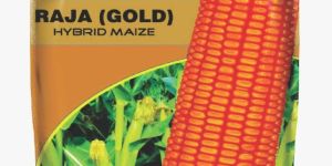 Raja Gold F1 Corn Seeds