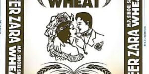 Veer Zara MP Sihori Sharbati Wheat