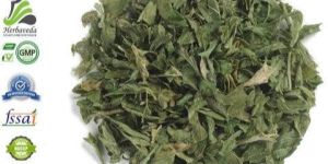 Raspberry Tea Leaves