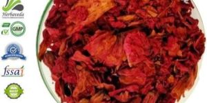 Rhododendron Dry Flower