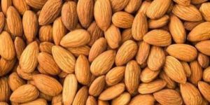 Almond Nuts