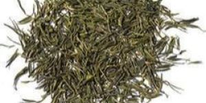 Green Tea Leaves