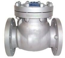 SS Non Return Valve