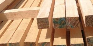 Pine Wood Timber