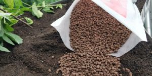 Brown Phosphate Rich Organic Manure