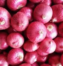 Fresh Red Onion