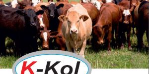 K-Kol Livestock Supplements