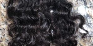 Curly Indian Hair