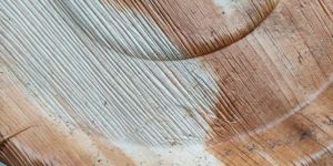 Areca Leaf Plates - 8