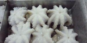 Frozen Octopus