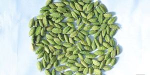 Green Cardamom