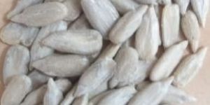 Sunflower Seeds