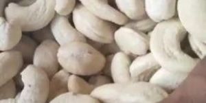 Cashew Nut W240