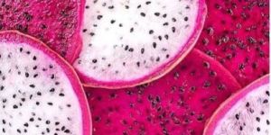 Dragon Fruit Pulp