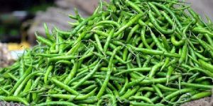 Green Chilli