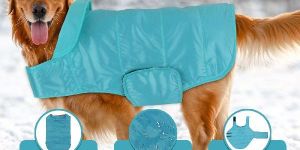 PREMIUM DOG COAT