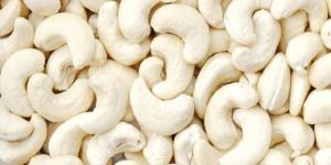 Cashew Nut