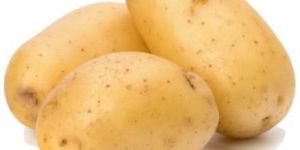 Fresh Potato