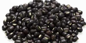 Urad Dal