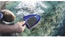 Aqua Feed Supplement