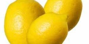 Fresh Lemon