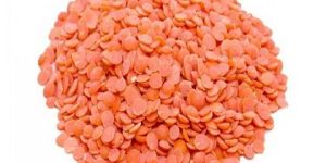 Red Masoor Dal